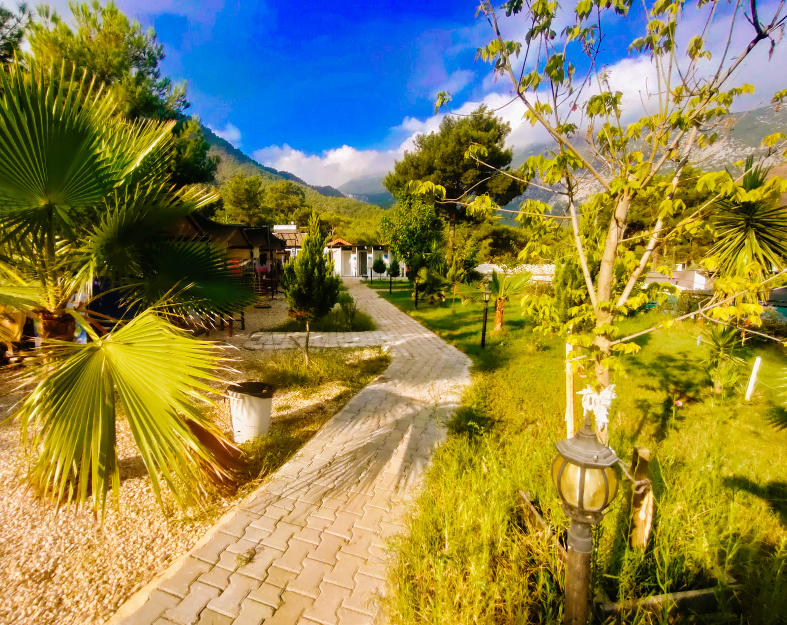 Adrasan Koreli Glamping