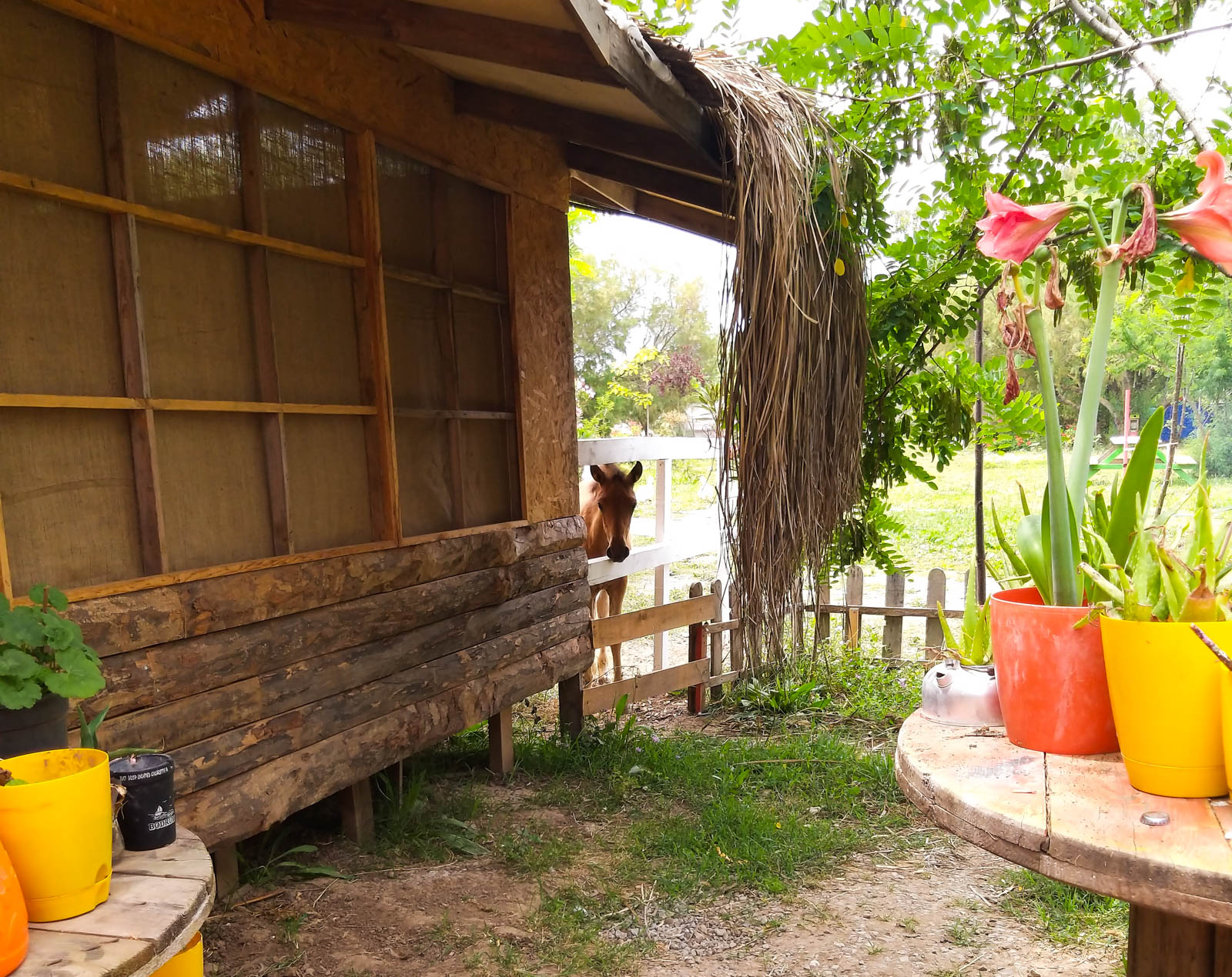 The Camp Bodrum