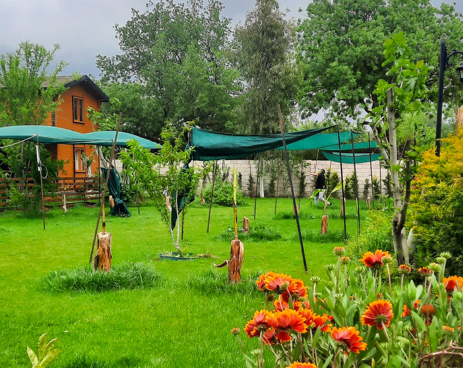 Elif & Bade Glamping