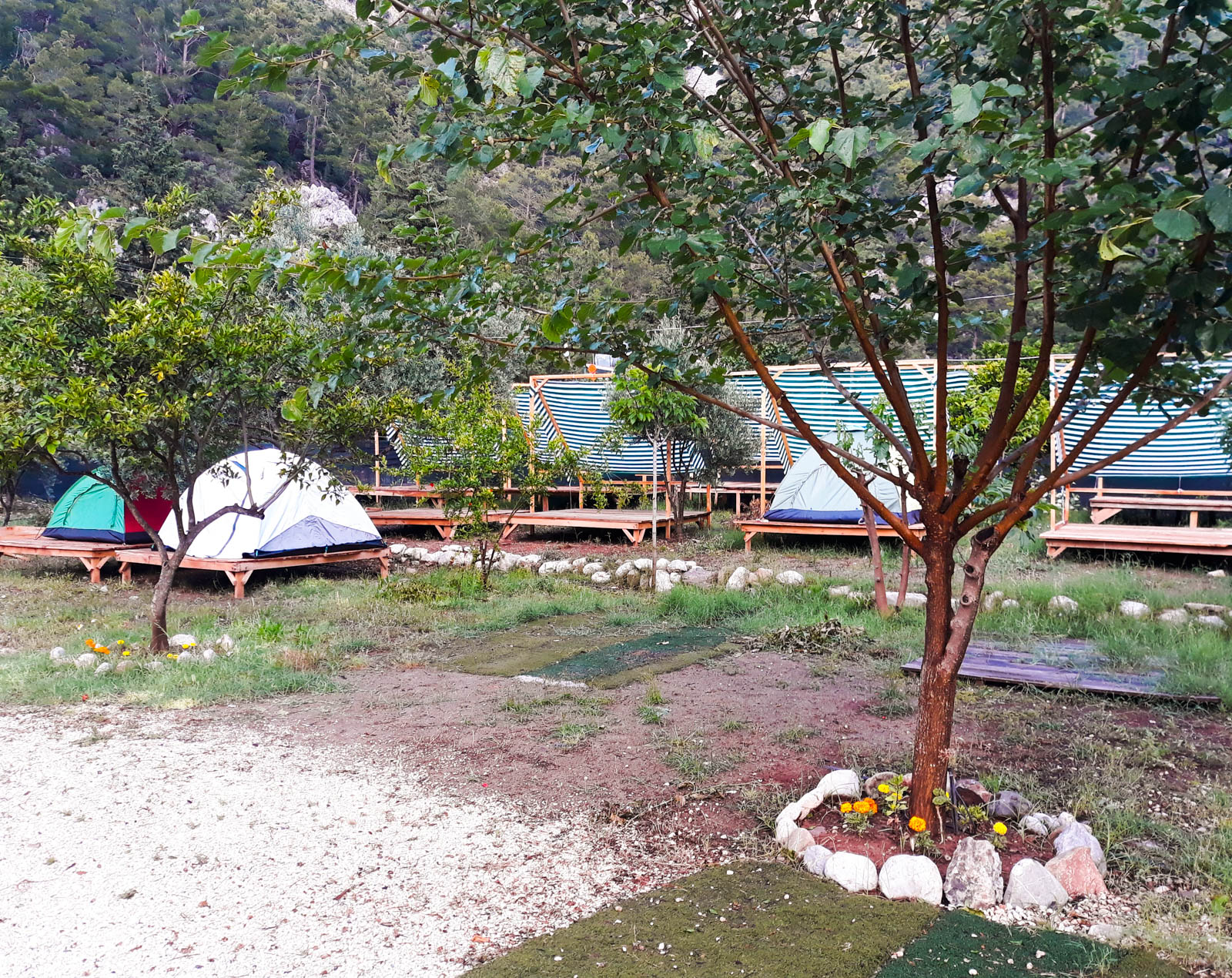 Olympos Orange Camping