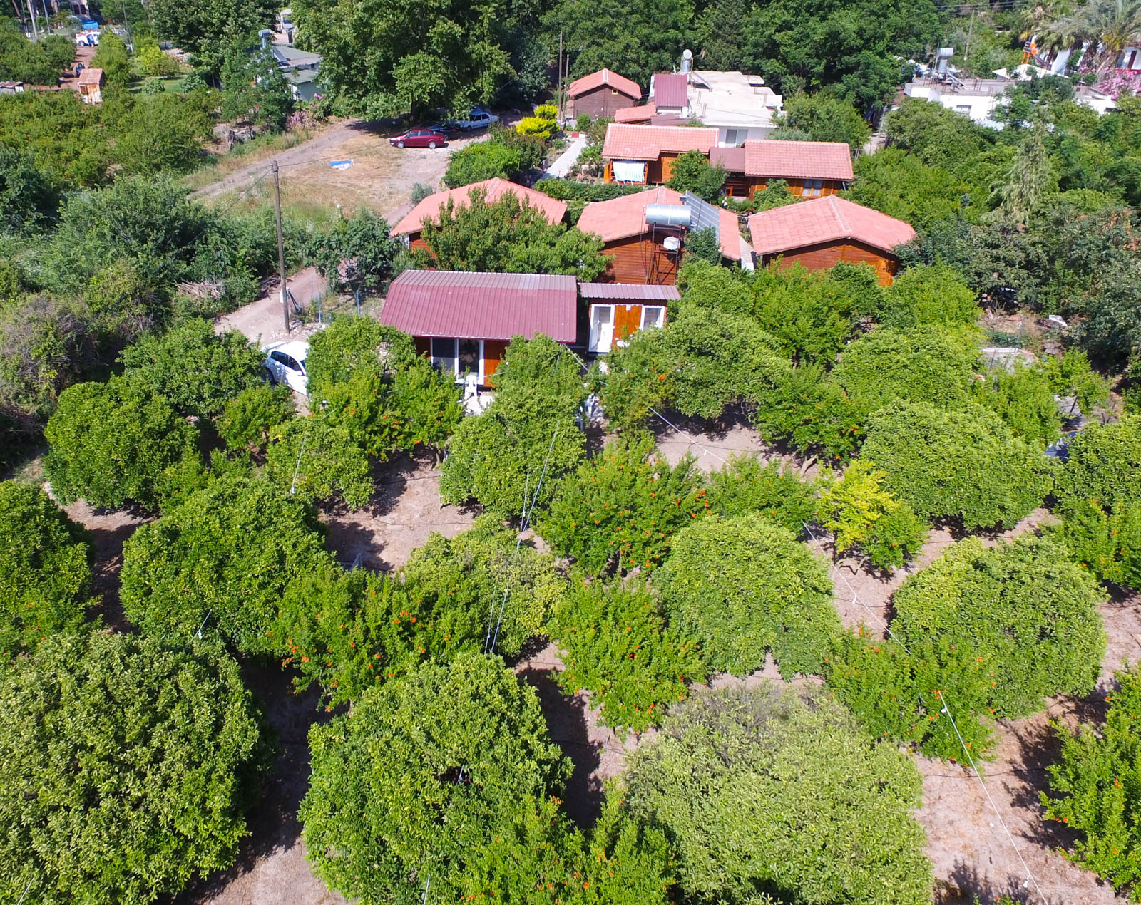Gonca Camping Adrasan