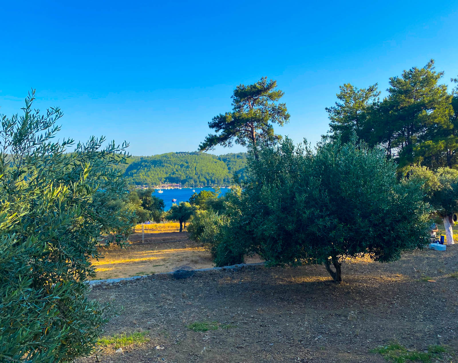 Akbük Elif Camping