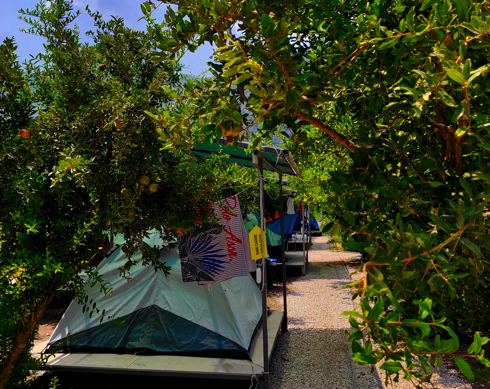 Yusuf Kaptan Camping