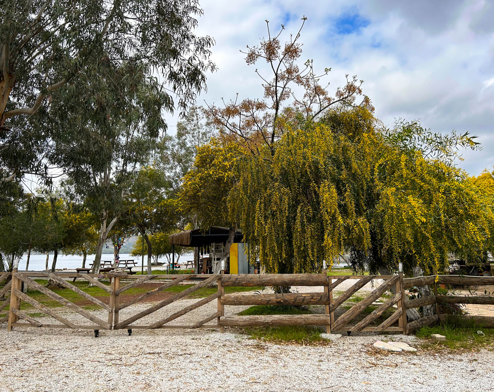 Çatlak Camping