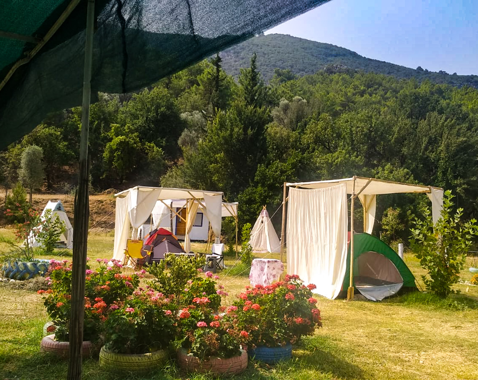 Doğanın Sesi Camping