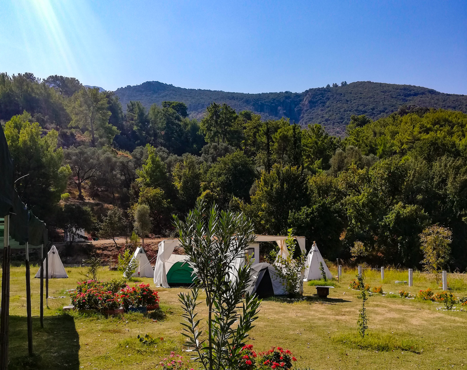 Doğanın Sesi Camping
