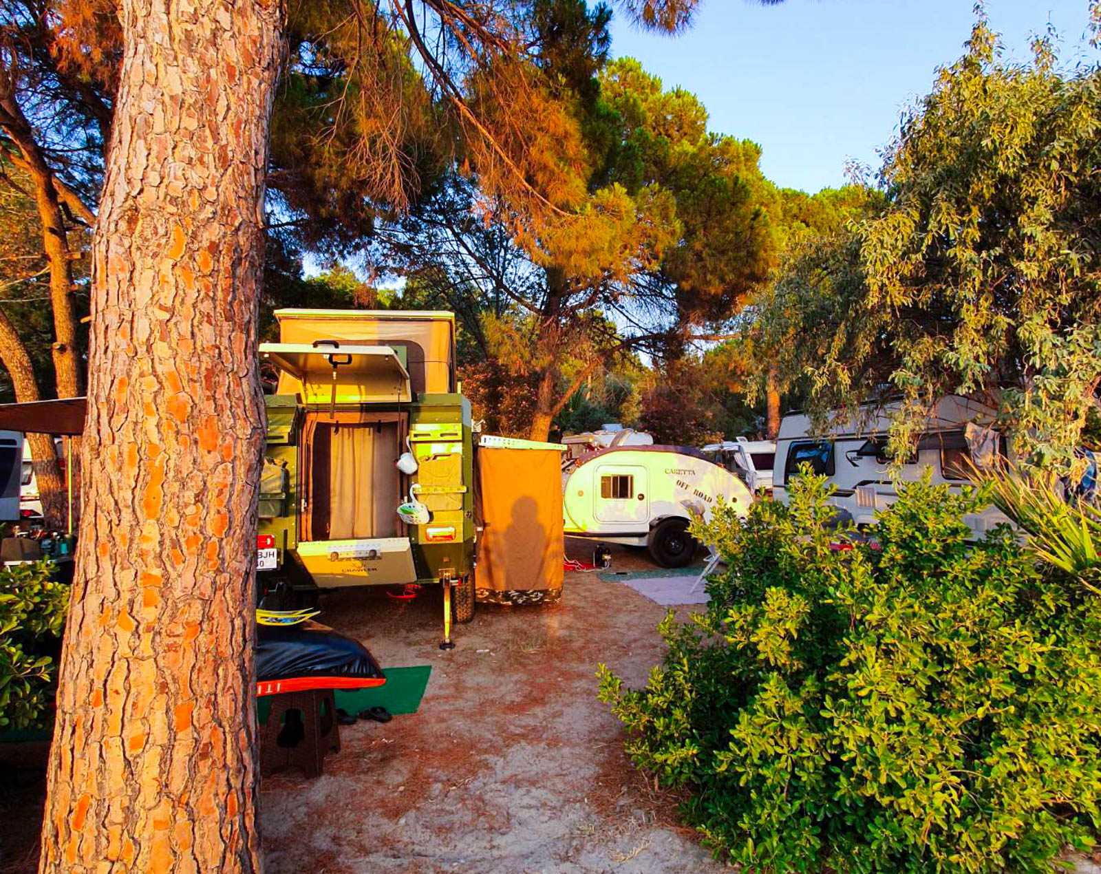 Altın Camp
