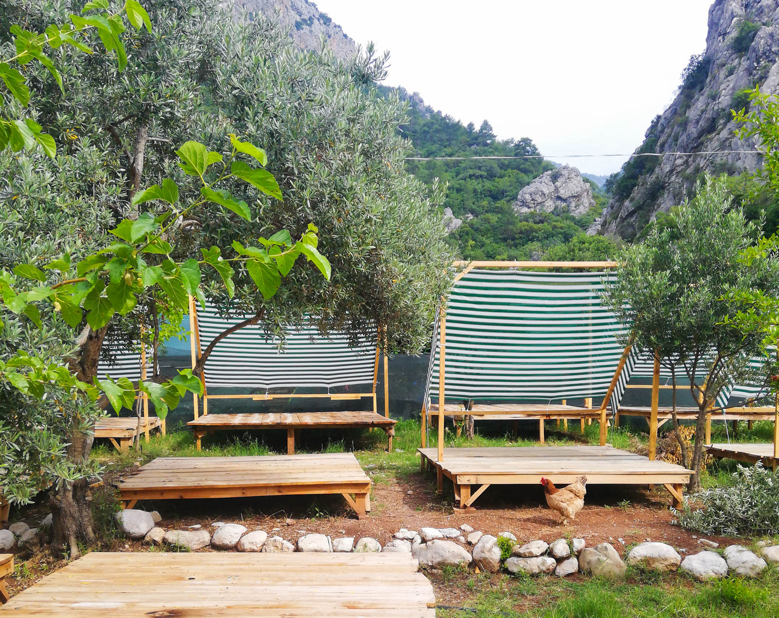 Olympos Orange Camping