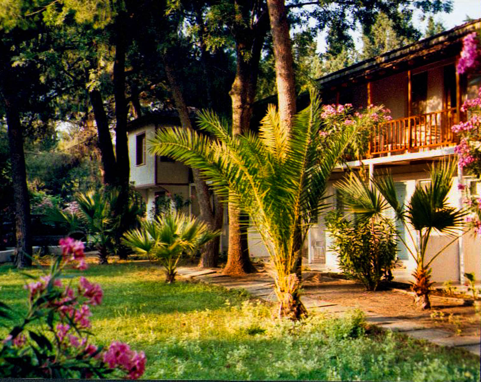 Altın Camp