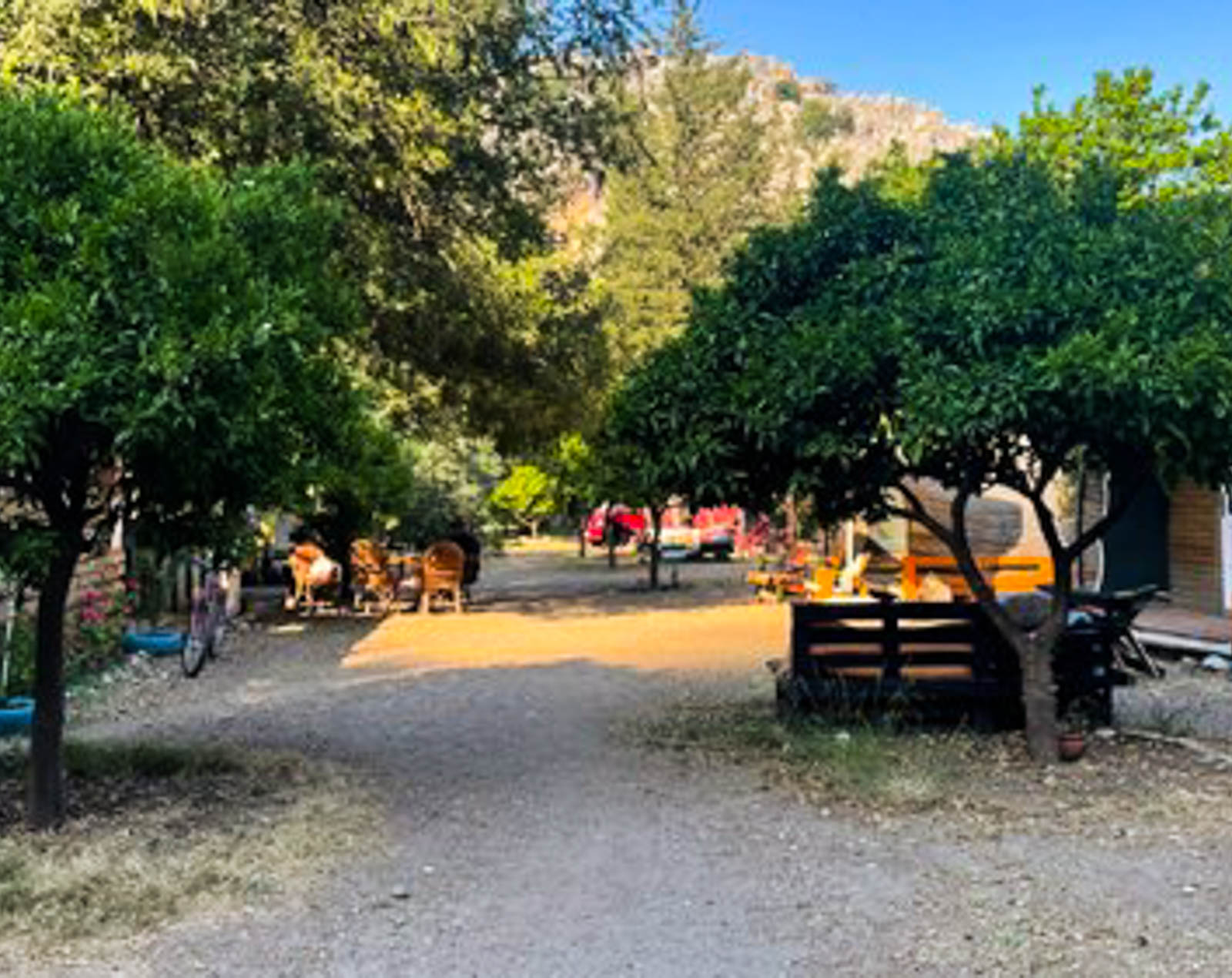 Papaya Camping