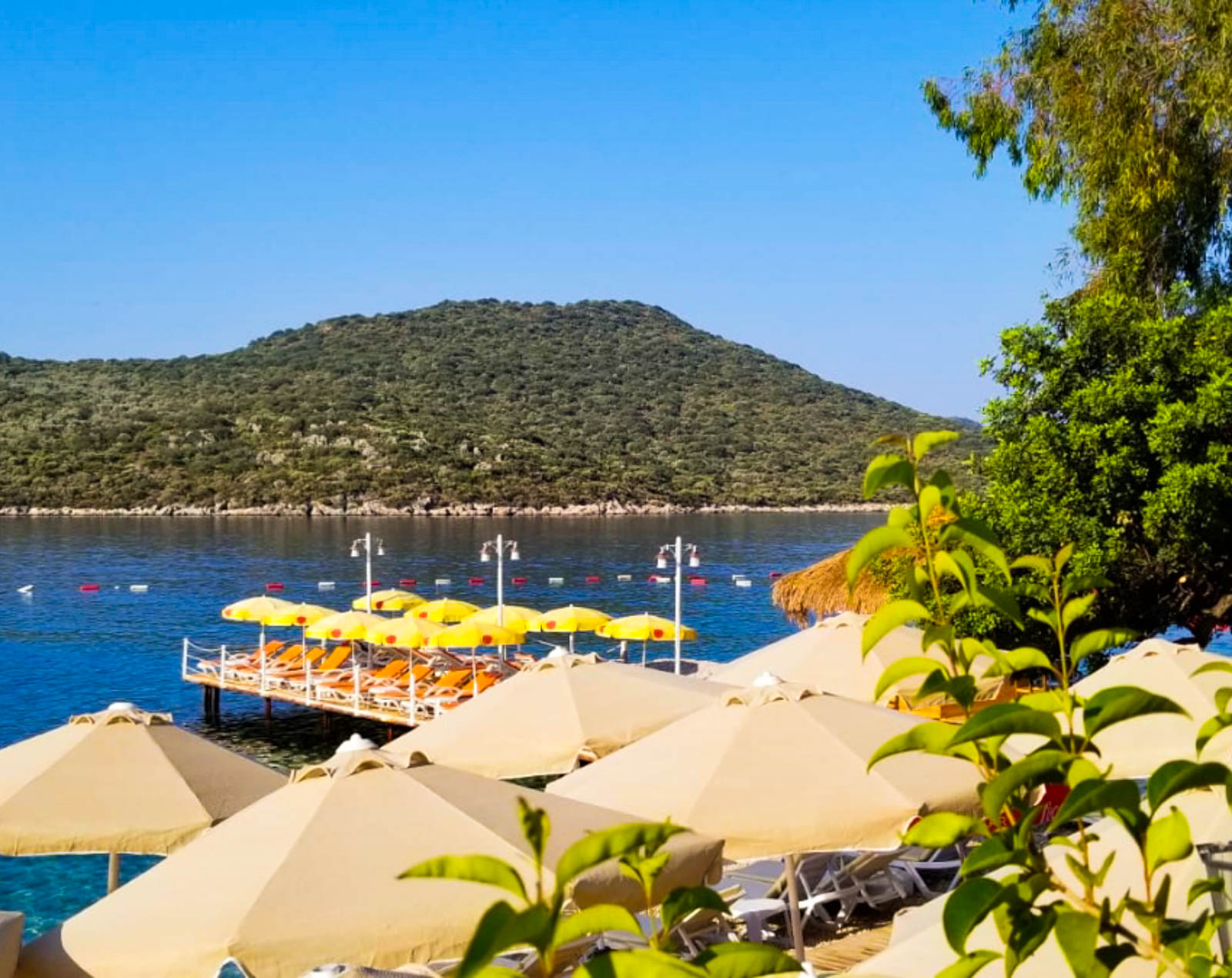 Kaş Olympos Mocamp
