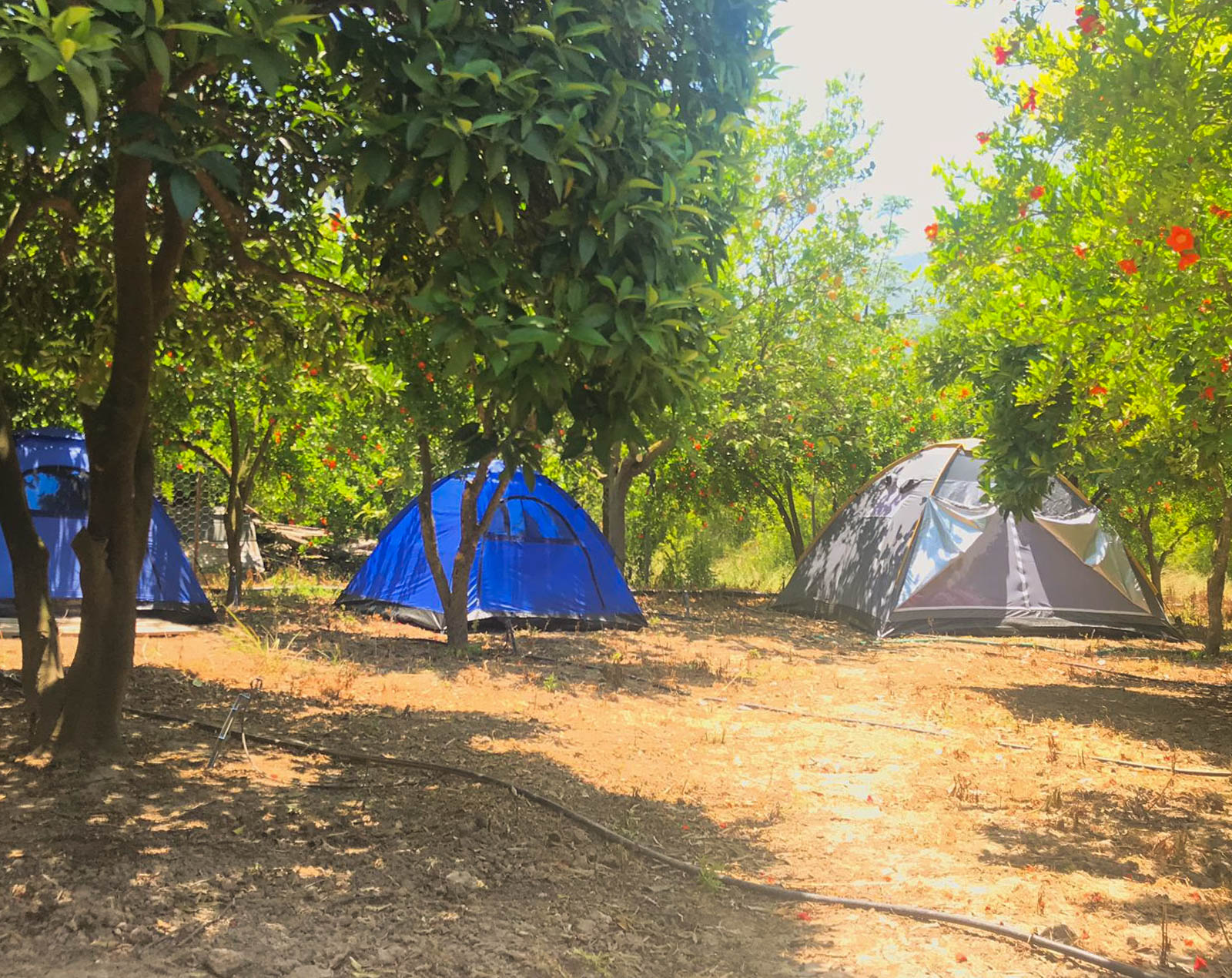 Gonca Camping Adrasan