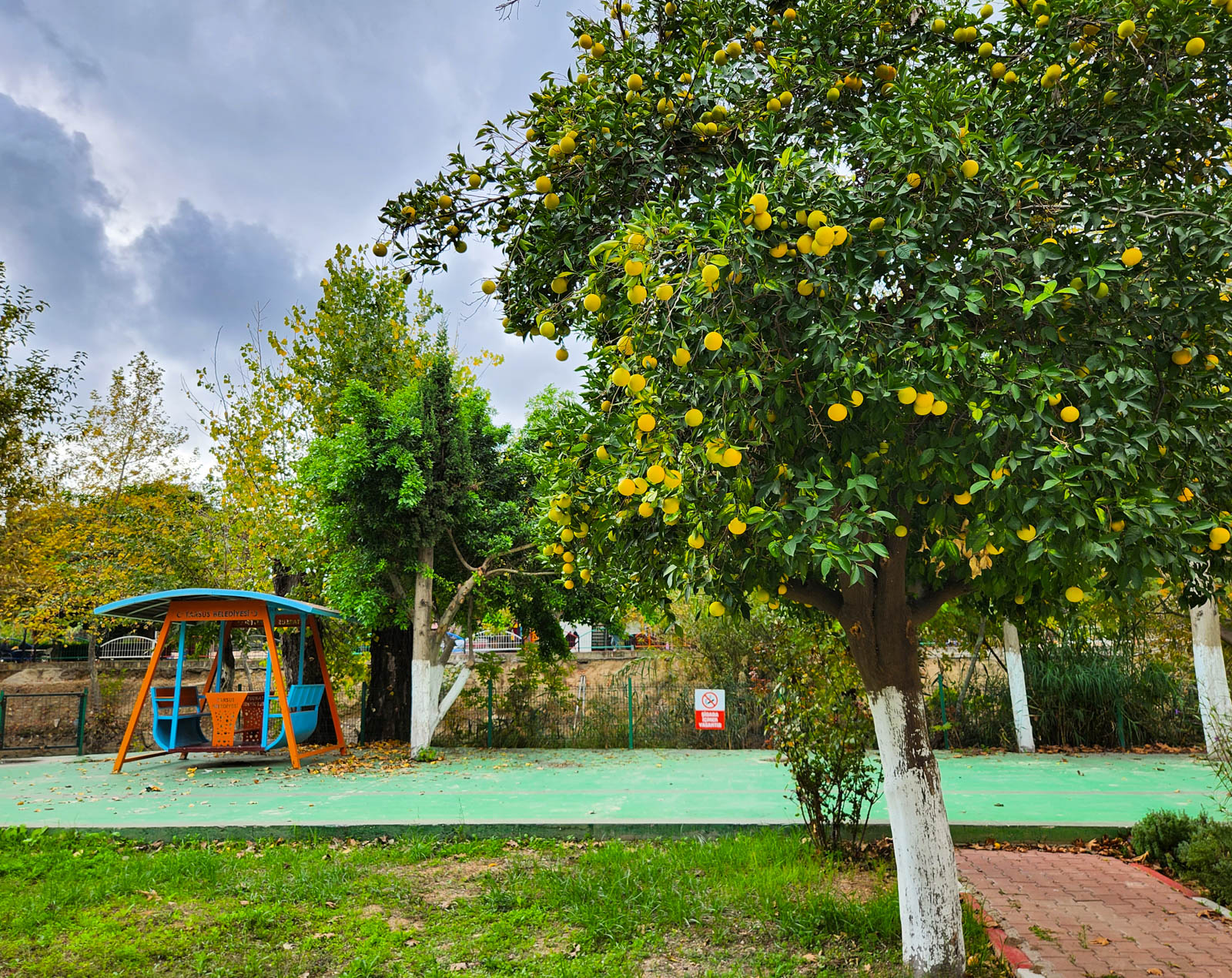 Tarsus Belediyesi Karavan Parkı