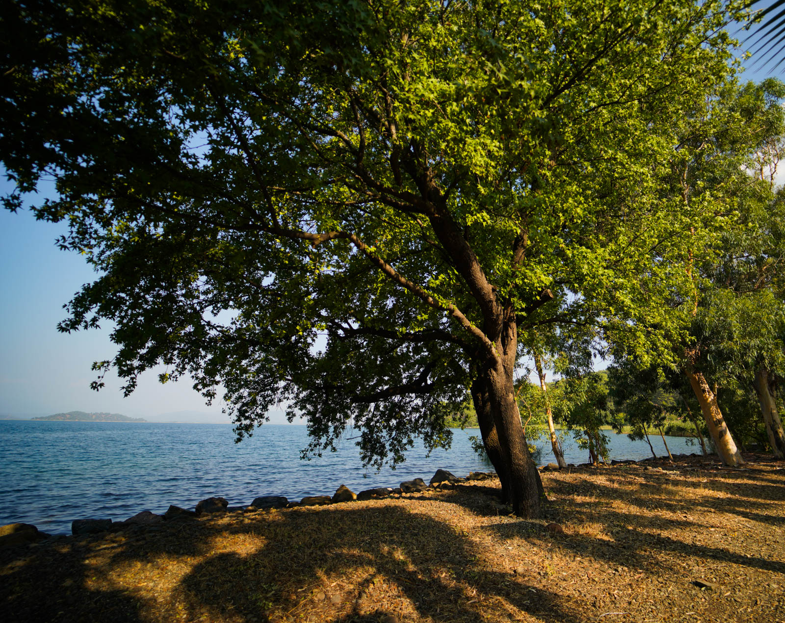 Kıyıda Camping