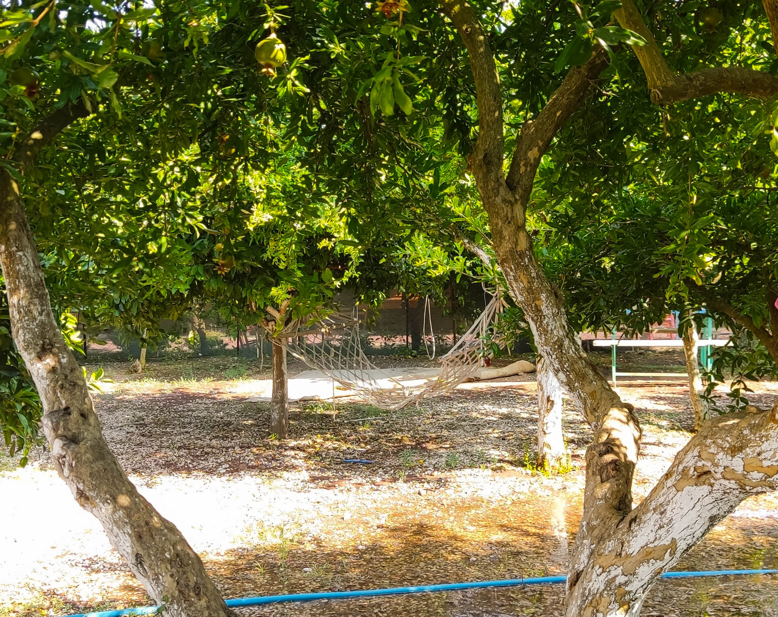 Kız Kalesi Camping
