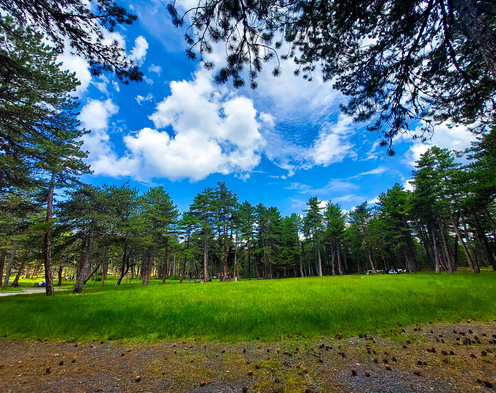 Aluçdağı Tabiat Parkı