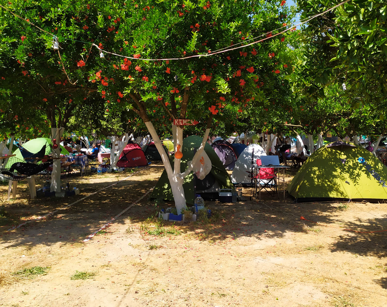 Gonca Camping Adrasan