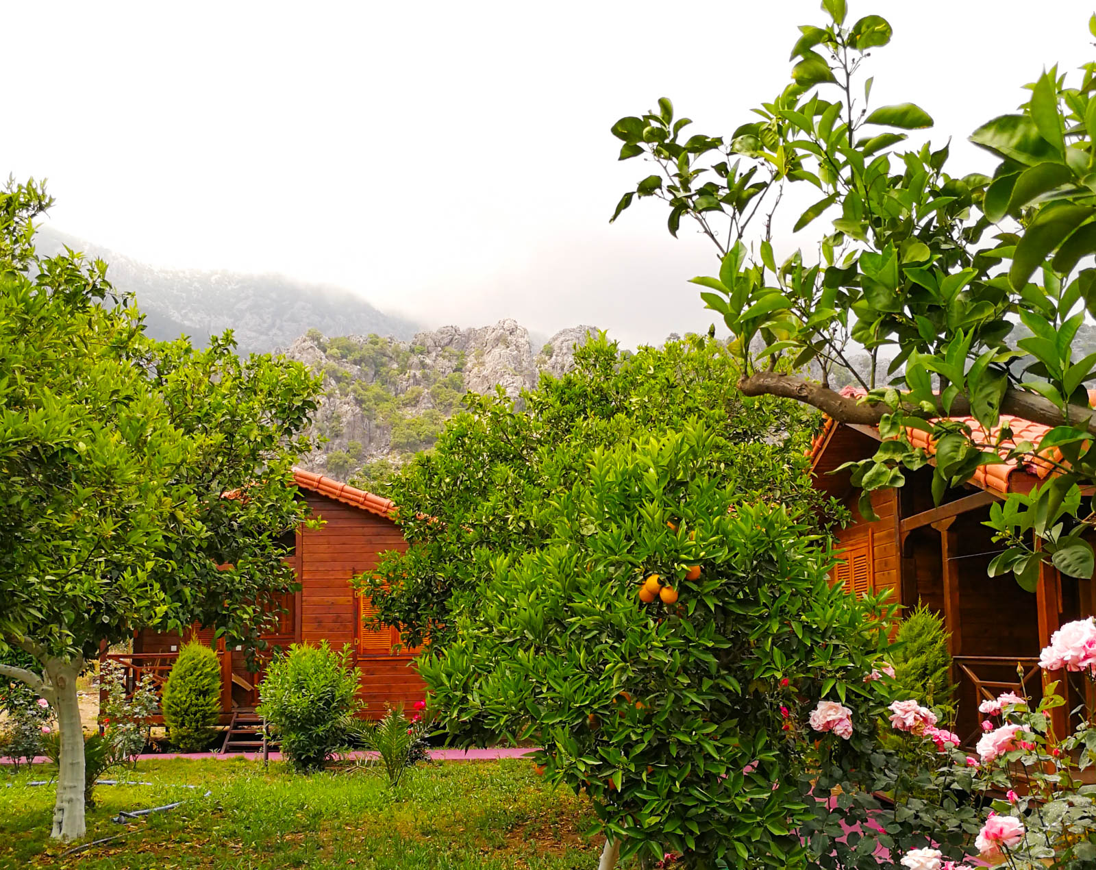 Çıralı Sahil Bungalow & Camping