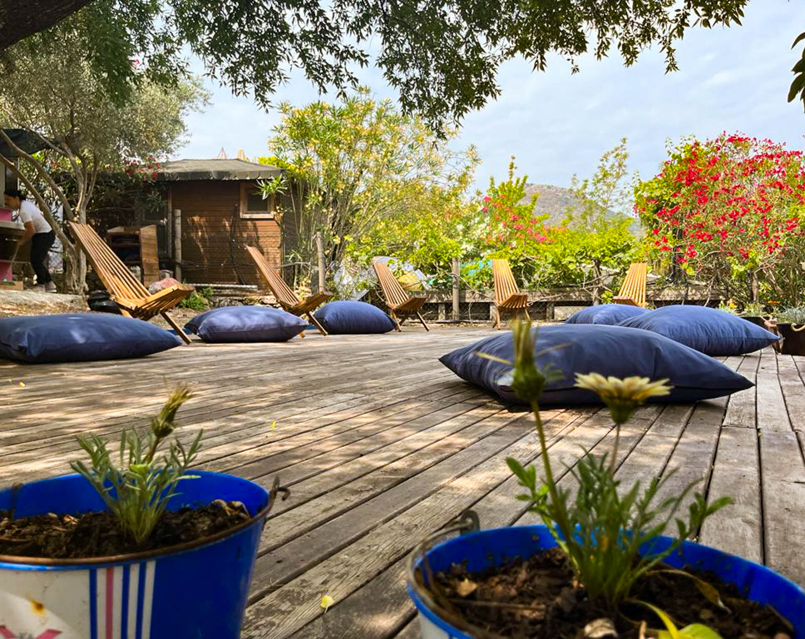 Palmira Bungalow & Camping