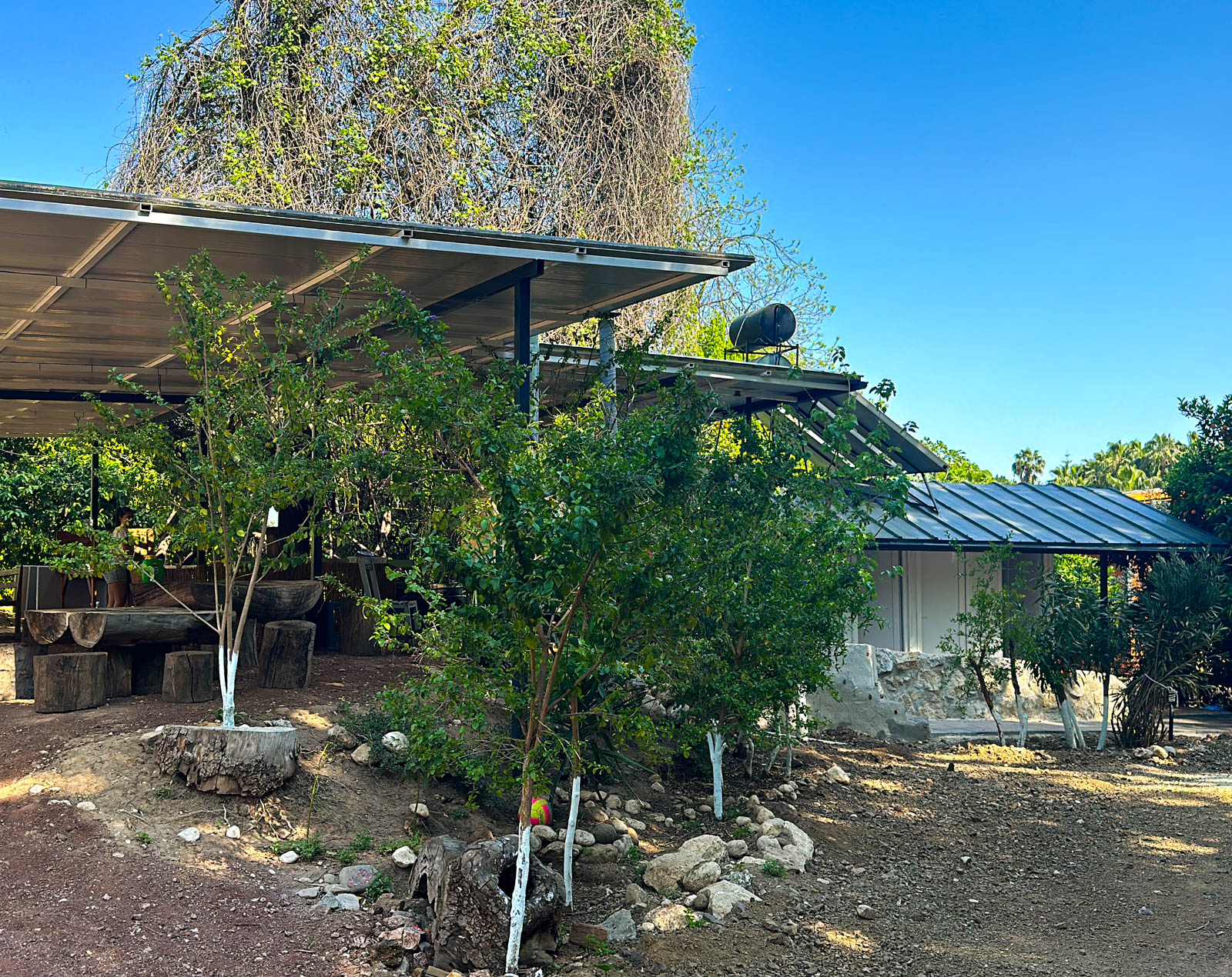 Tavuskuşu Camping