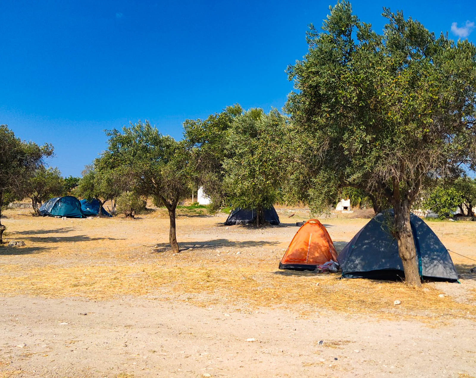 Alaçatı Camping