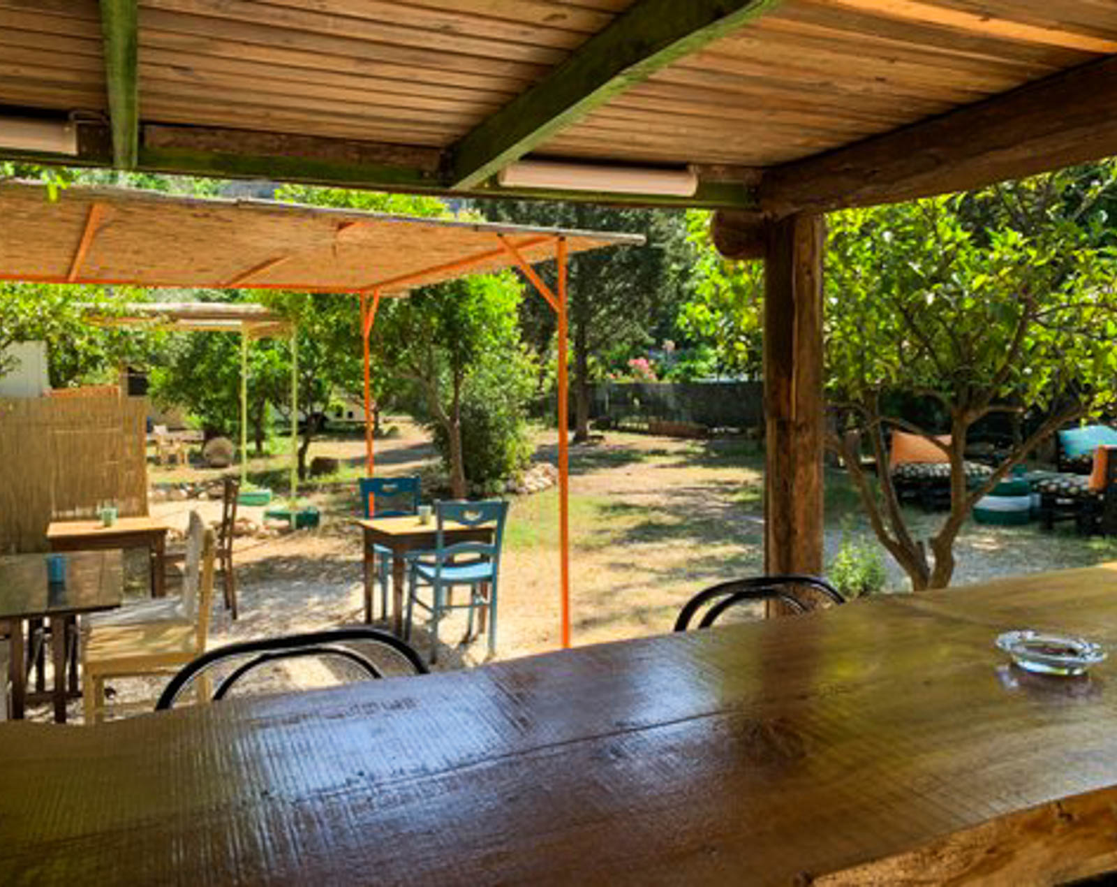 Papaya Camping