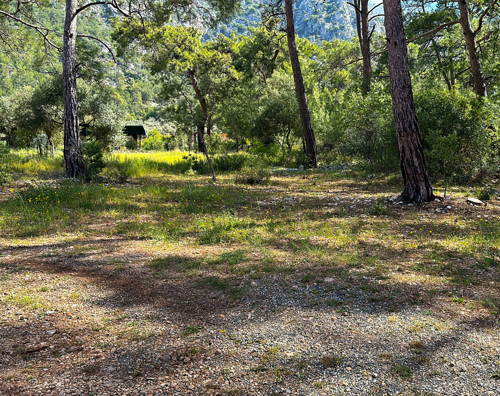 Kardelen Camping