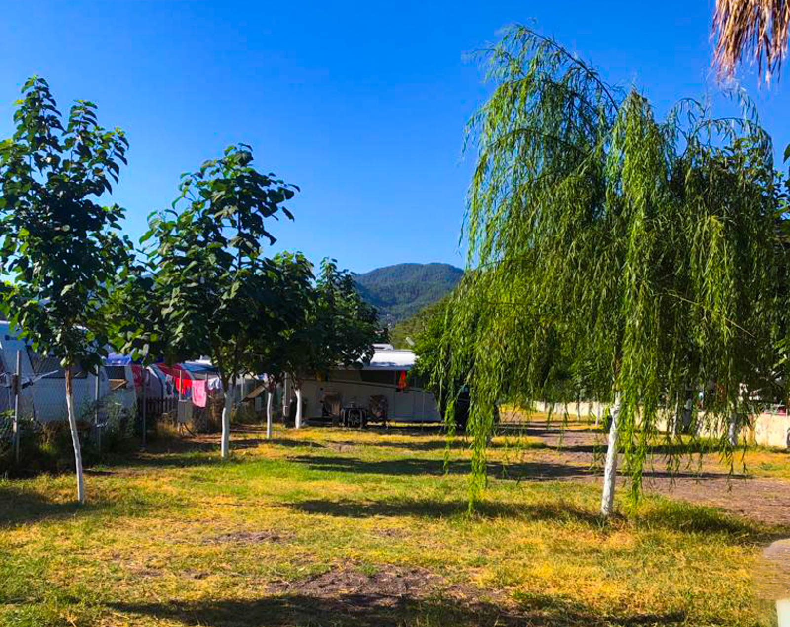 Pavlonya Karavan & Çadır Camping