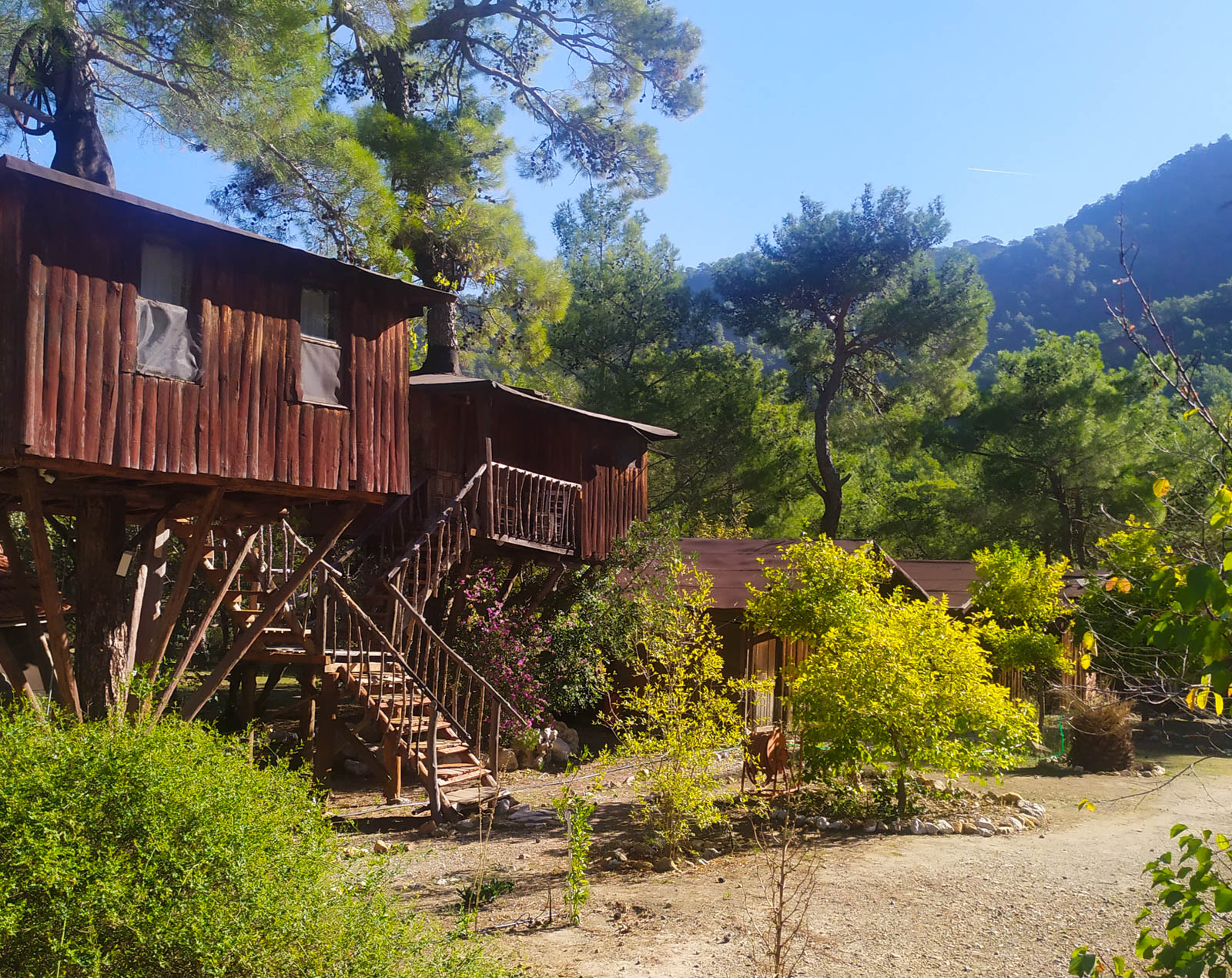 Jungle Bungalows & Camping