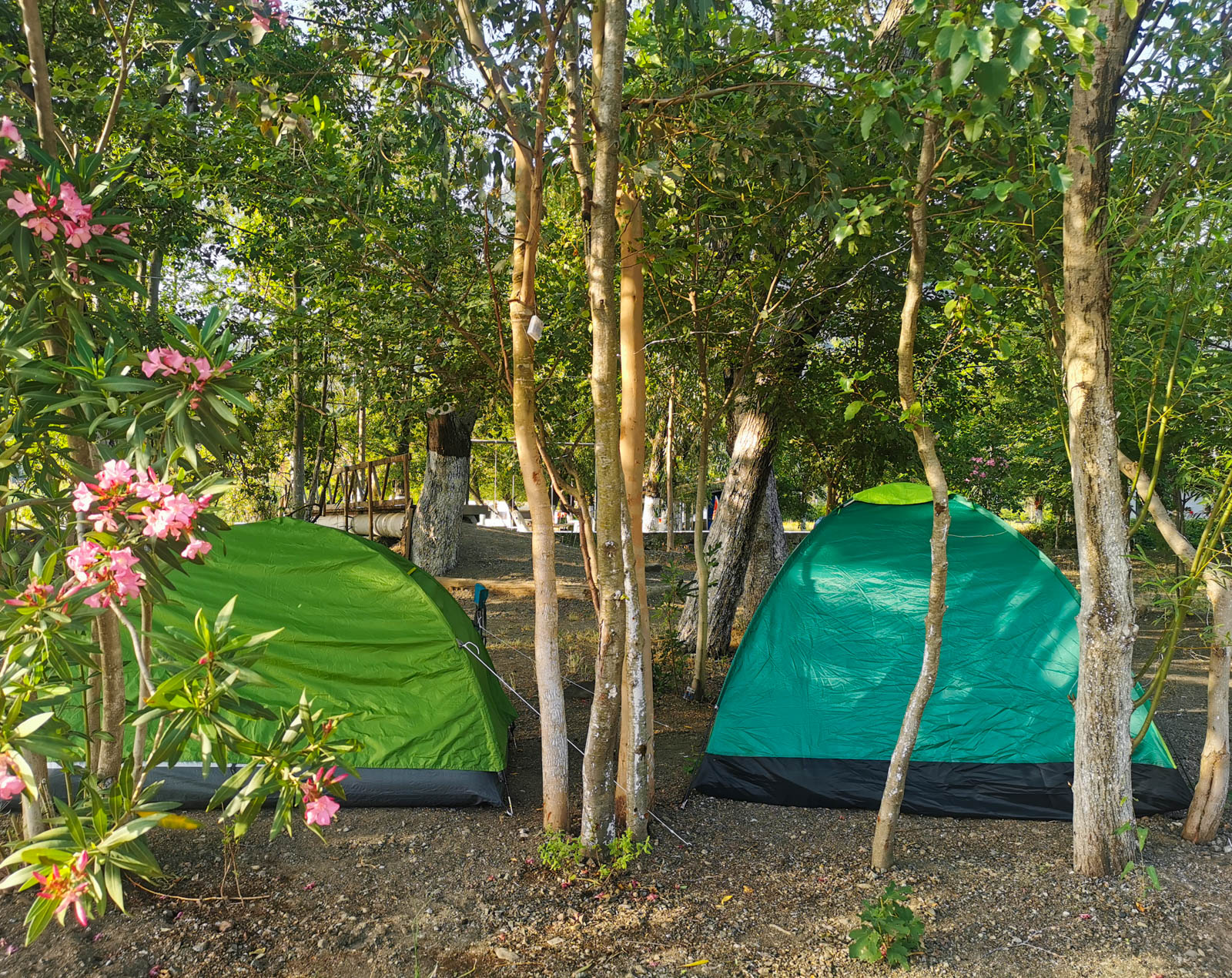 Cemil'in Yeri Akdeniz Camping