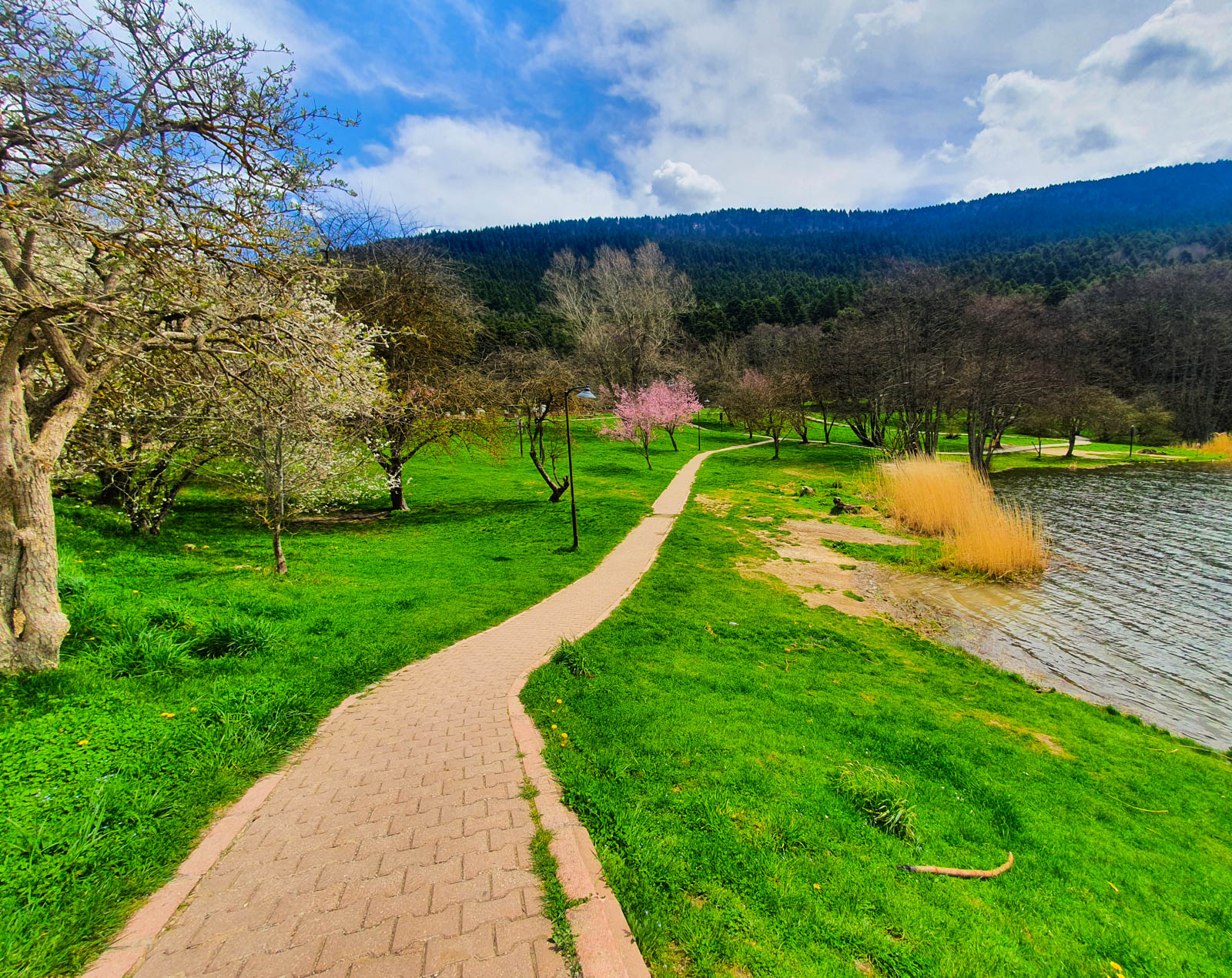 Gölcük Tabiat Parkı