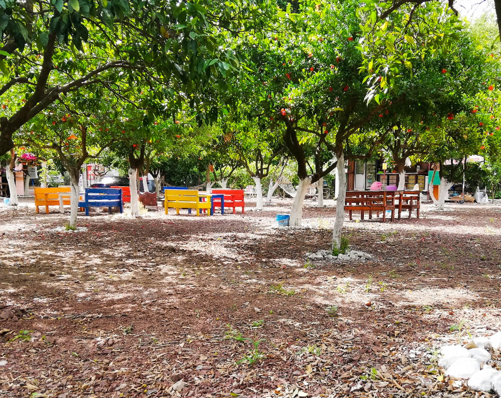 Portakal Camping