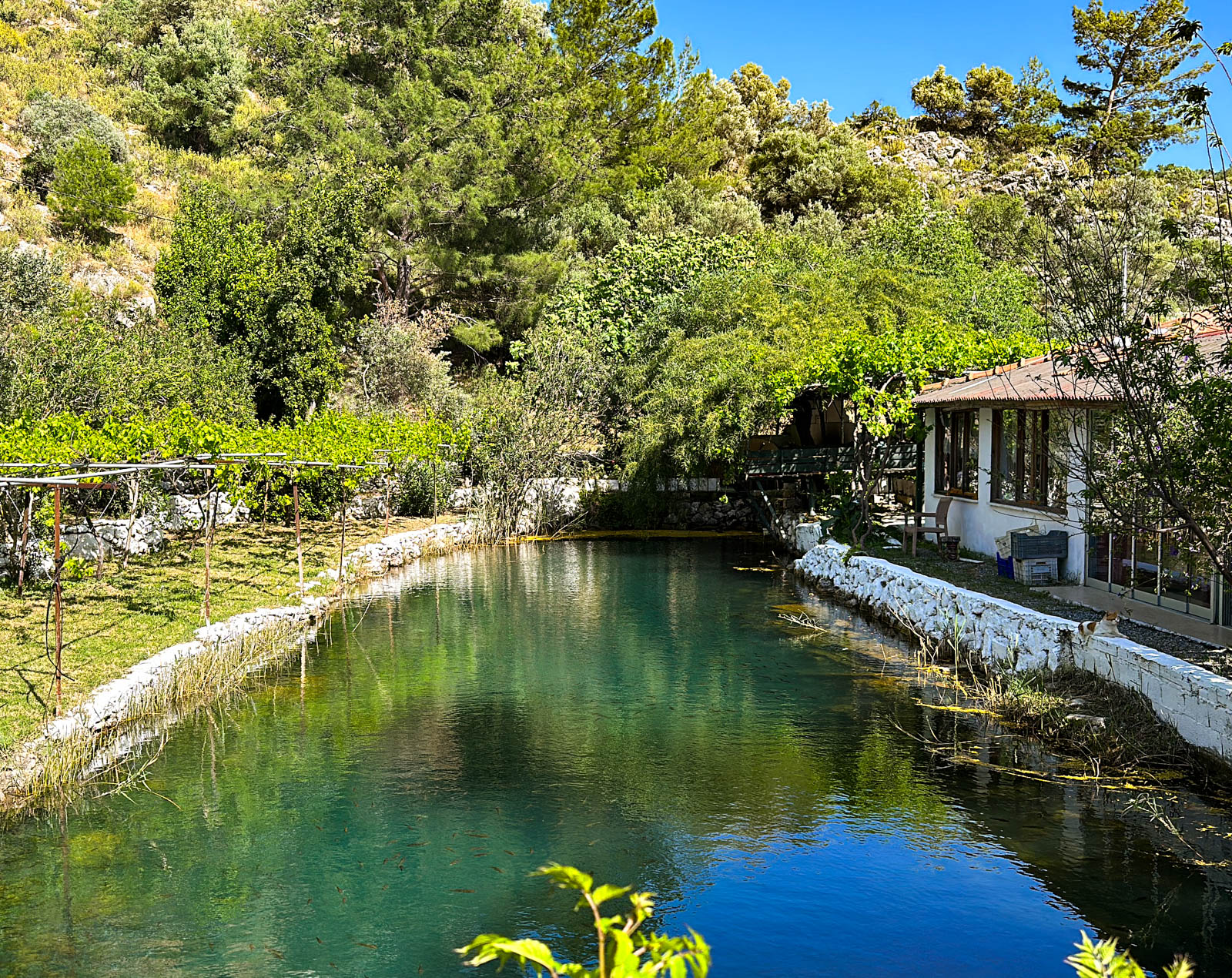 Ekin Kır Evi Camping