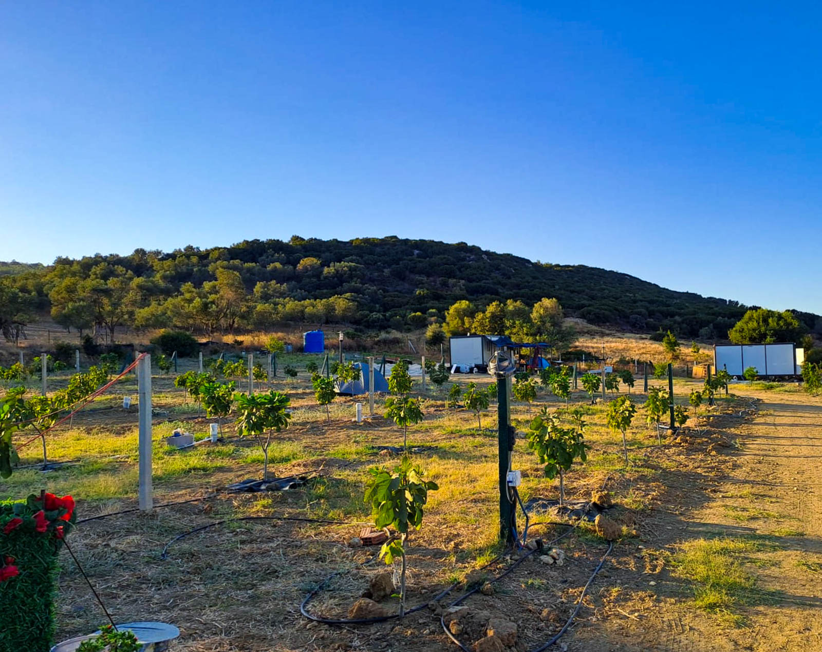 Hide Away Camping & Parking