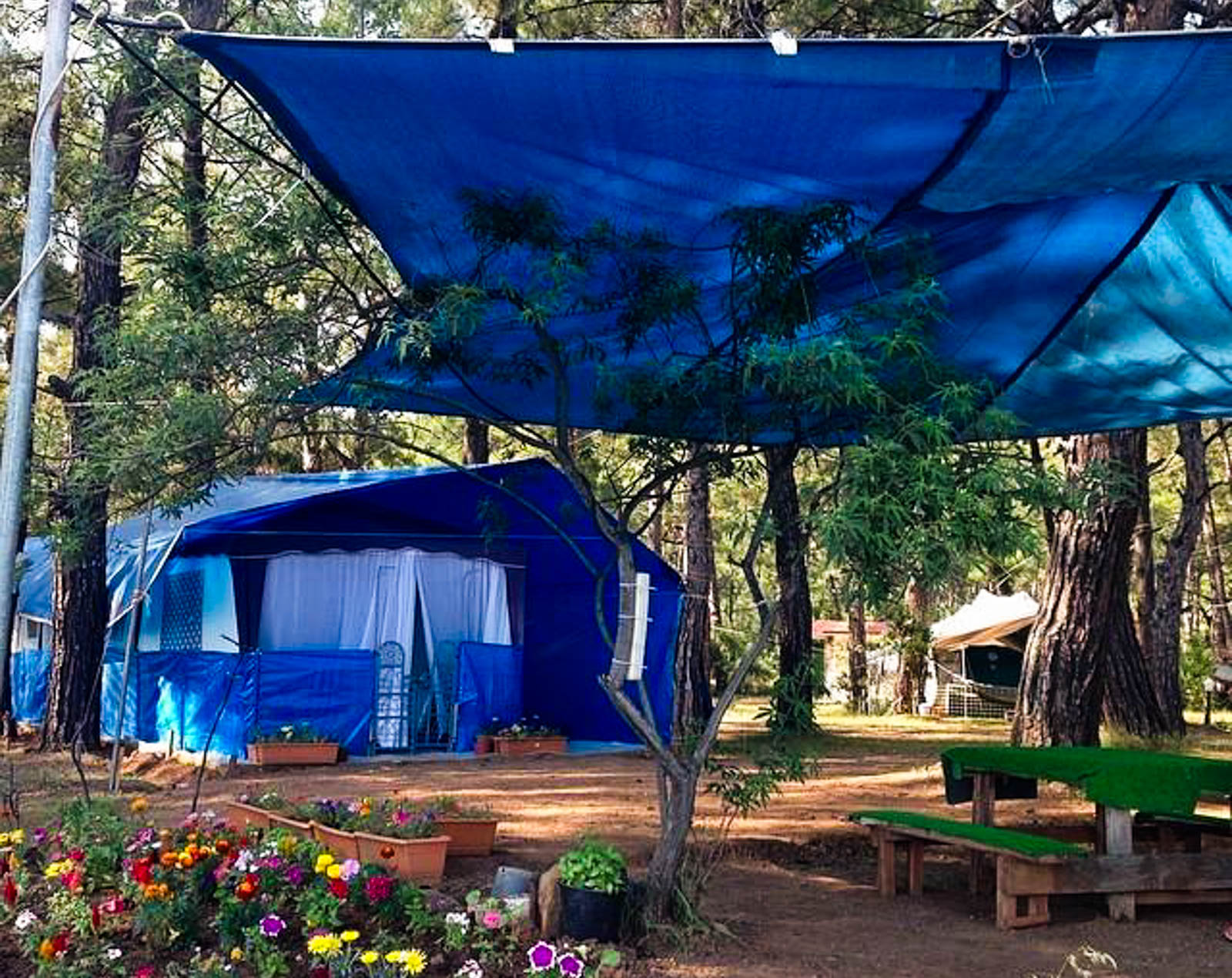 Katrancı Orman Parkı