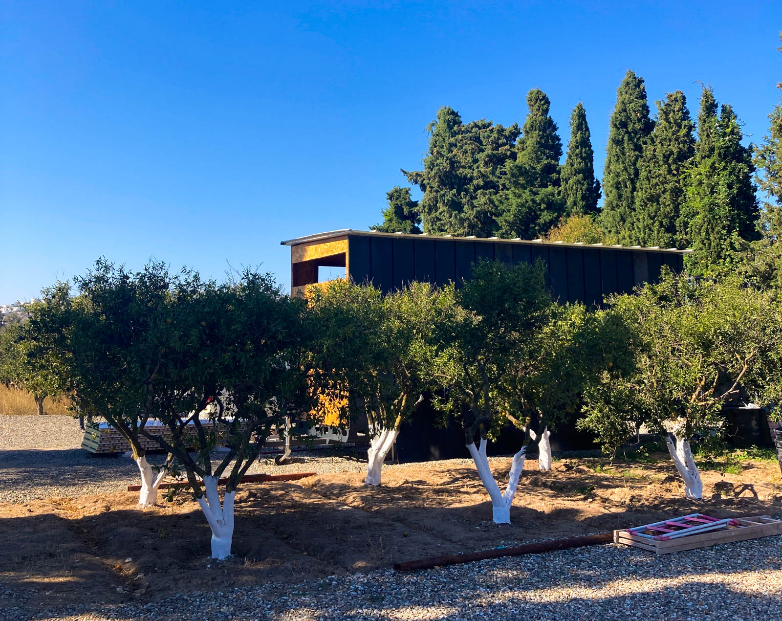Forsa Camping