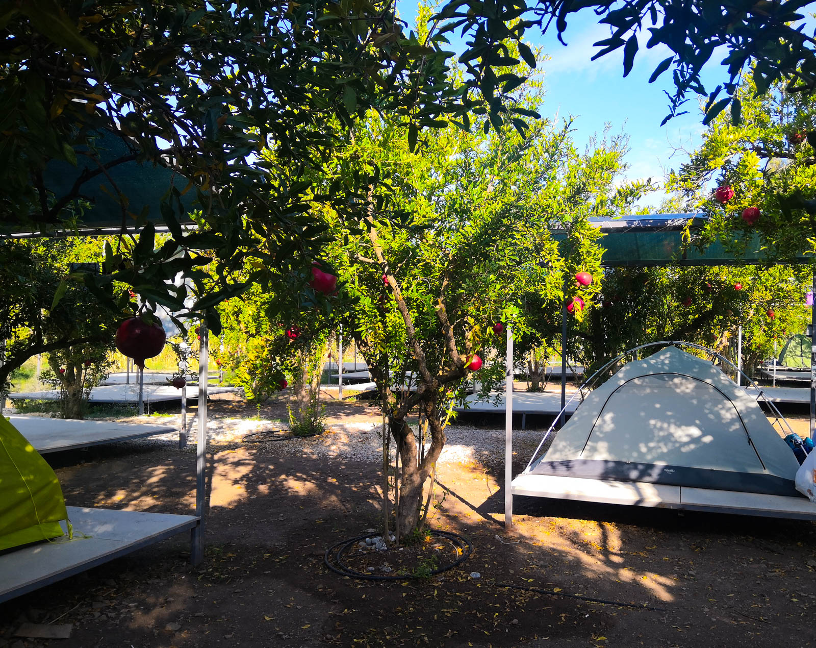 Yusuf Kaptan Camping