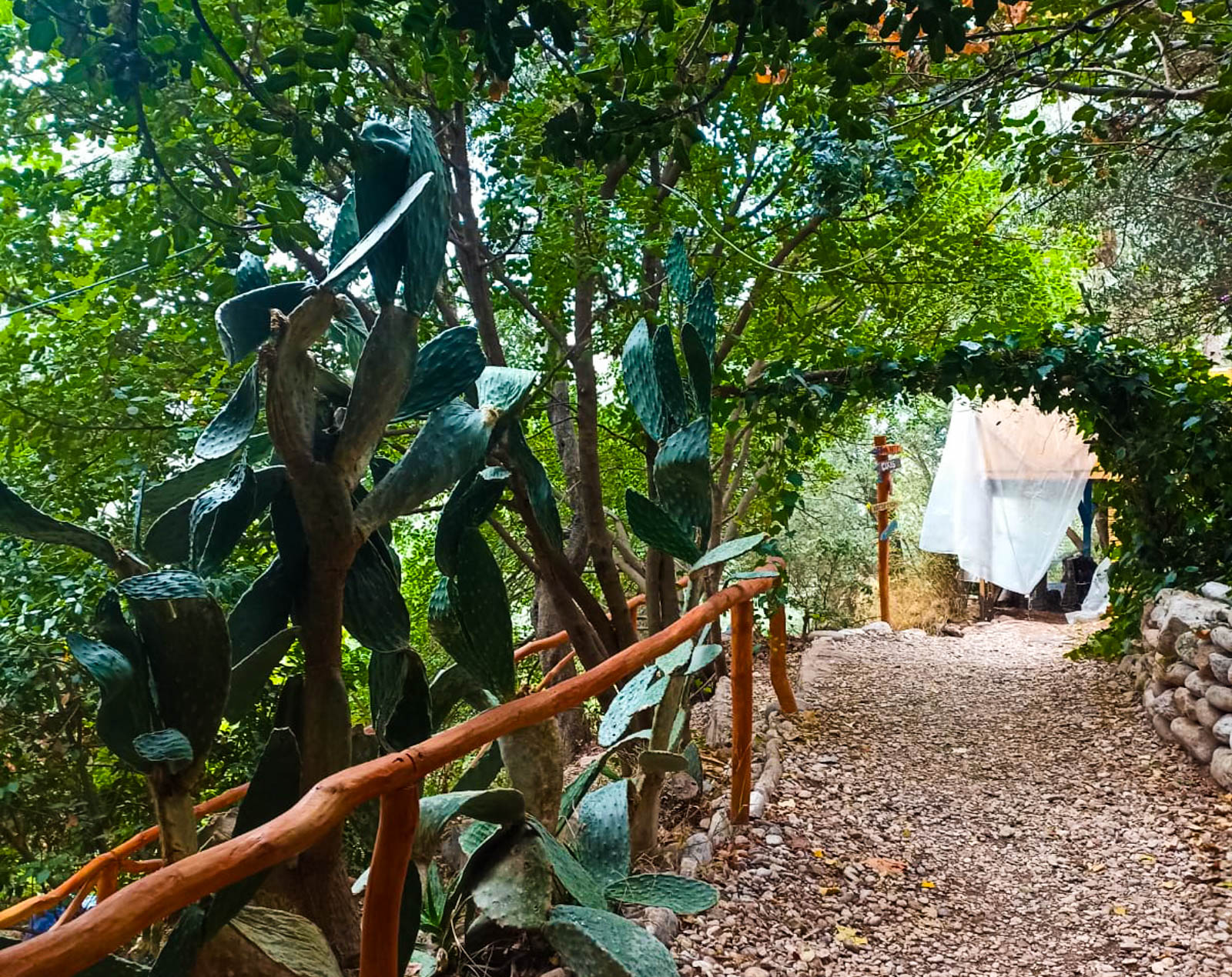 Yerdeniz Kamp