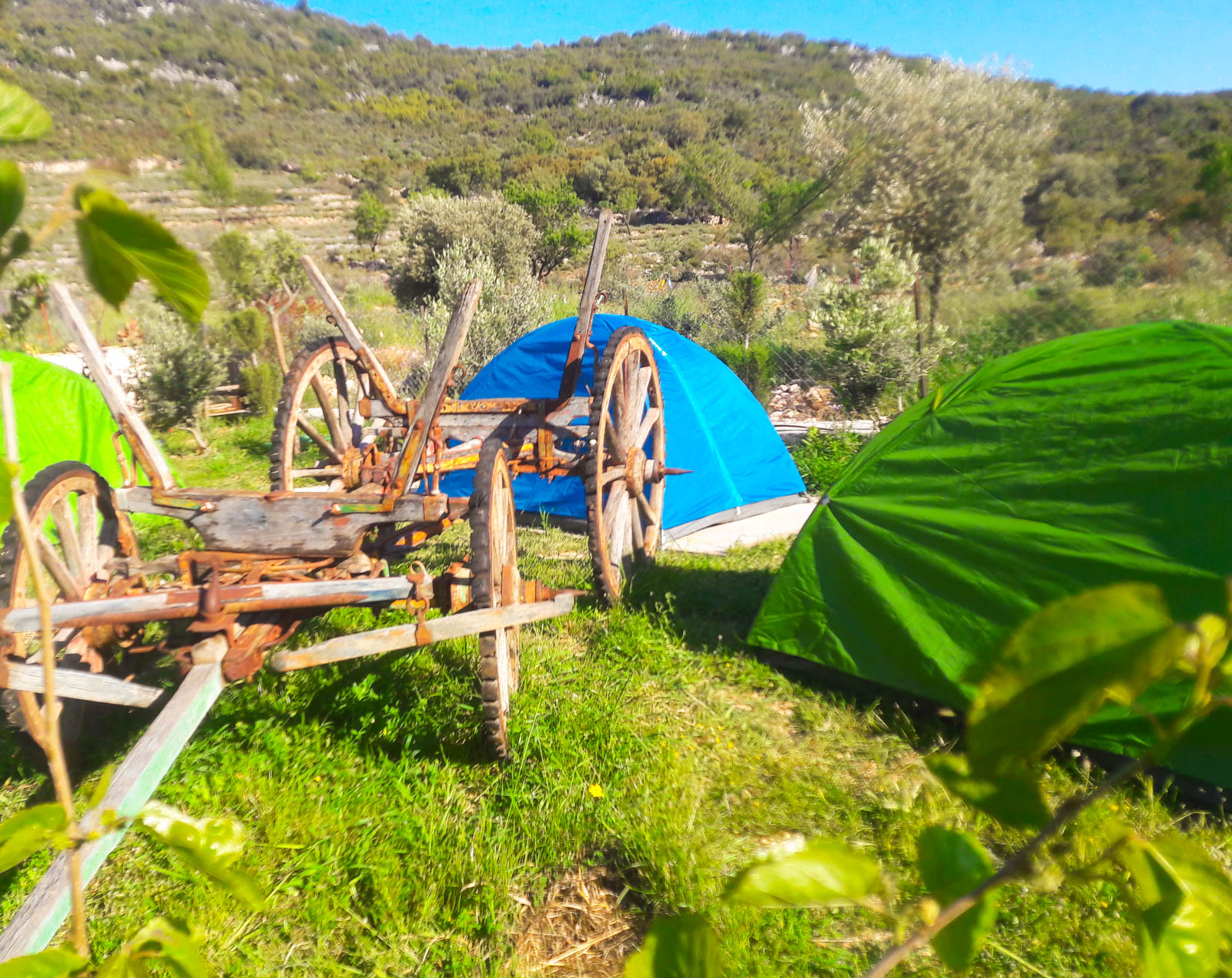 Lykia Camping