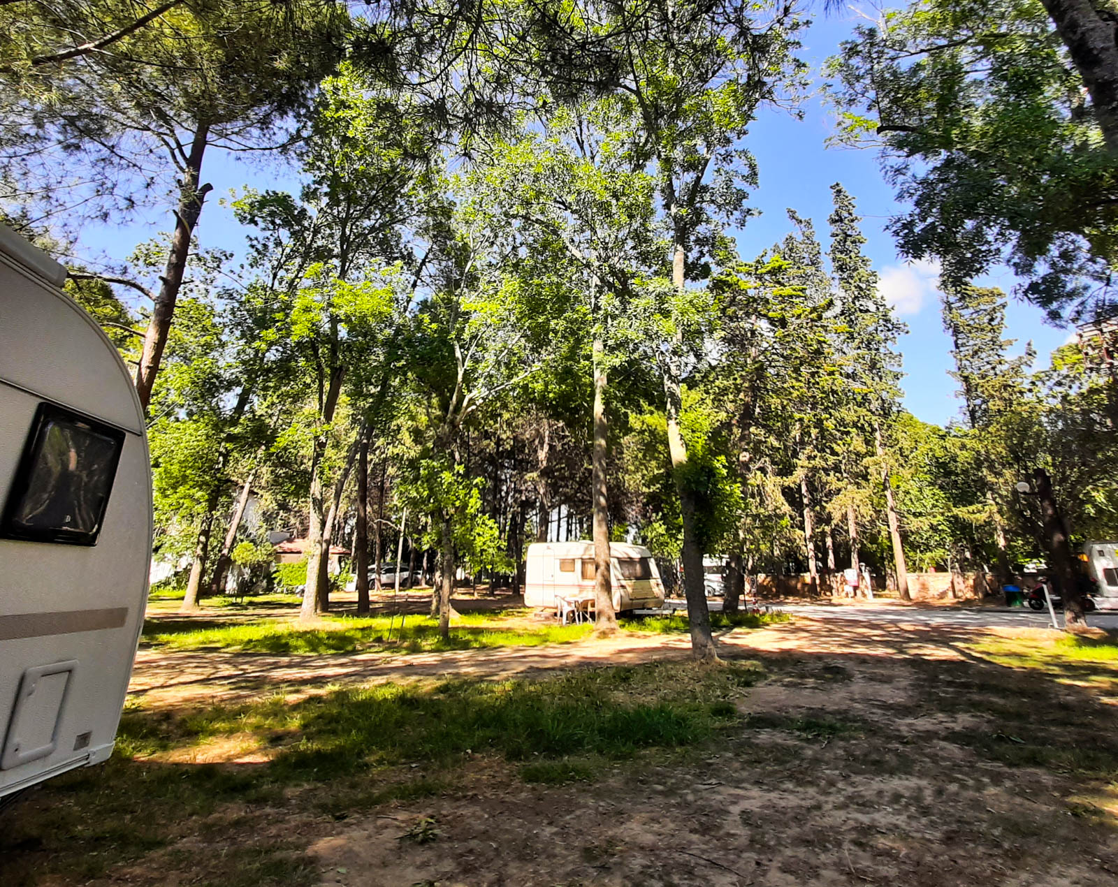 Altın Camp