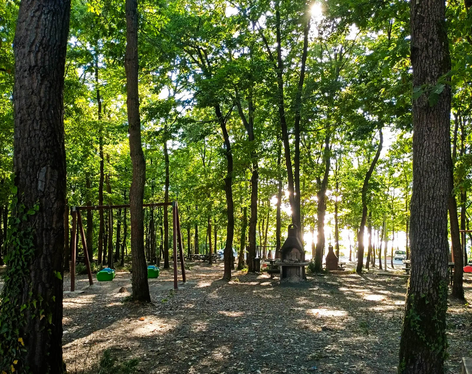Sakarya İl Ormanı Tabiat Parkı