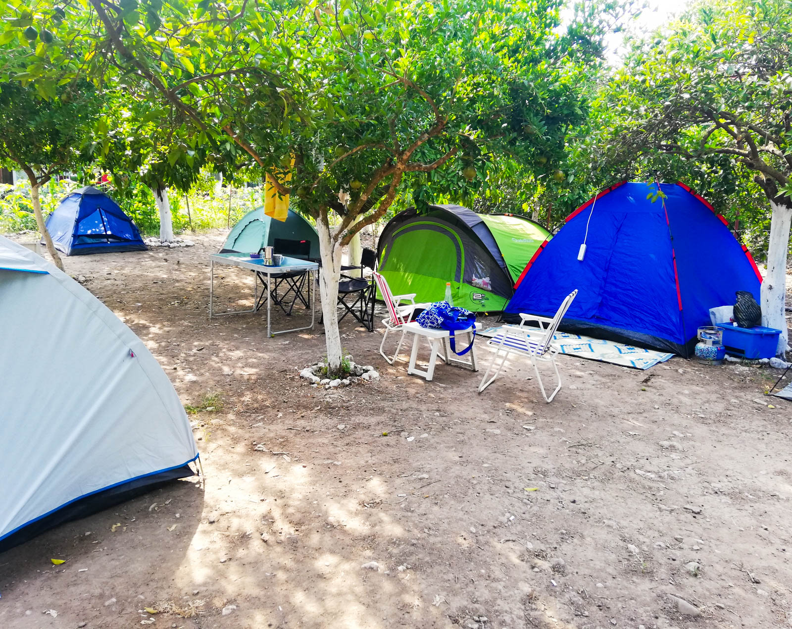 Portakal Camping