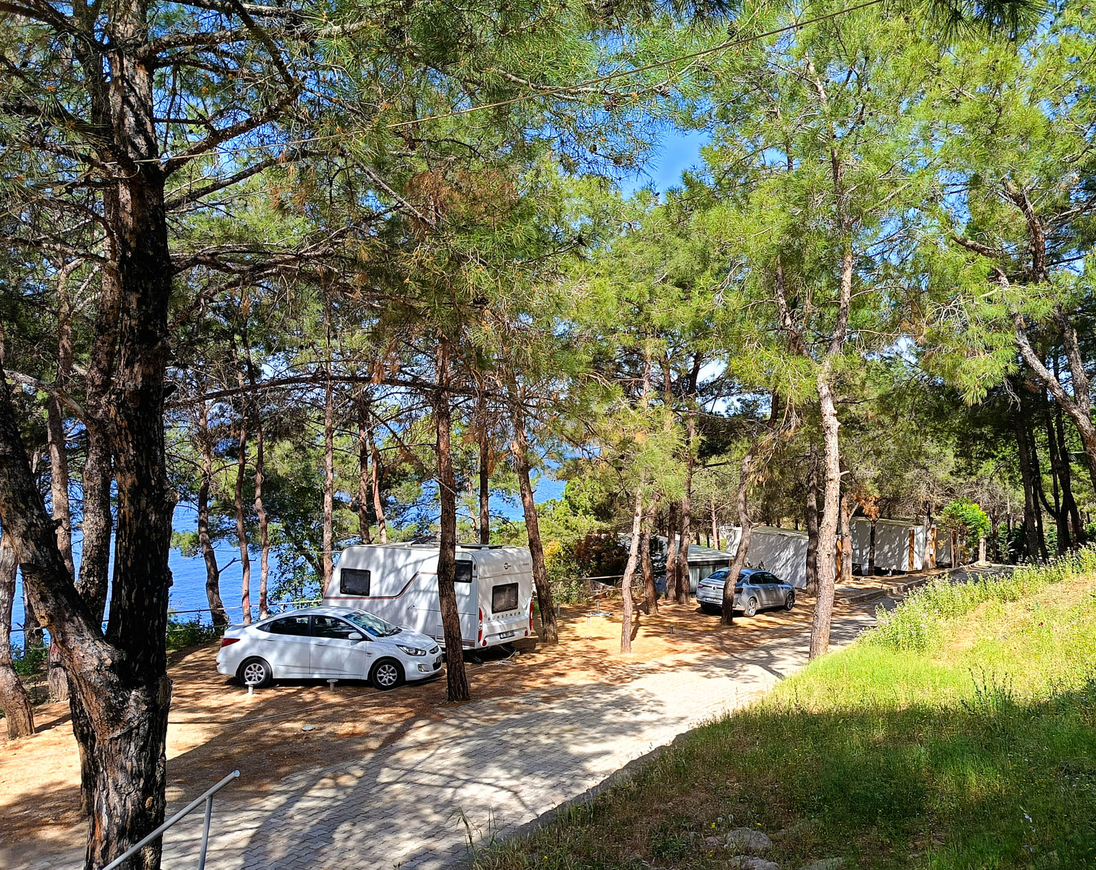 Kalemlik Orman Kampı