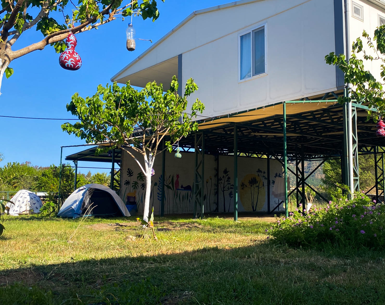 Kedi Camping