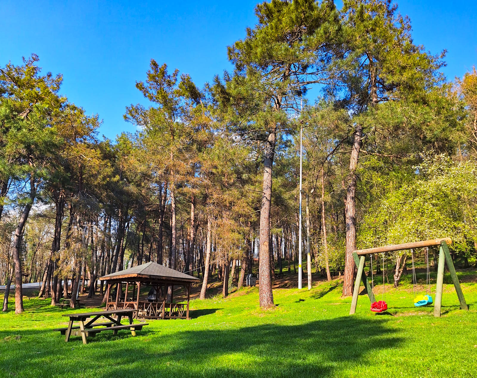 Sakarya İl Ormanı Tabiat Parkı