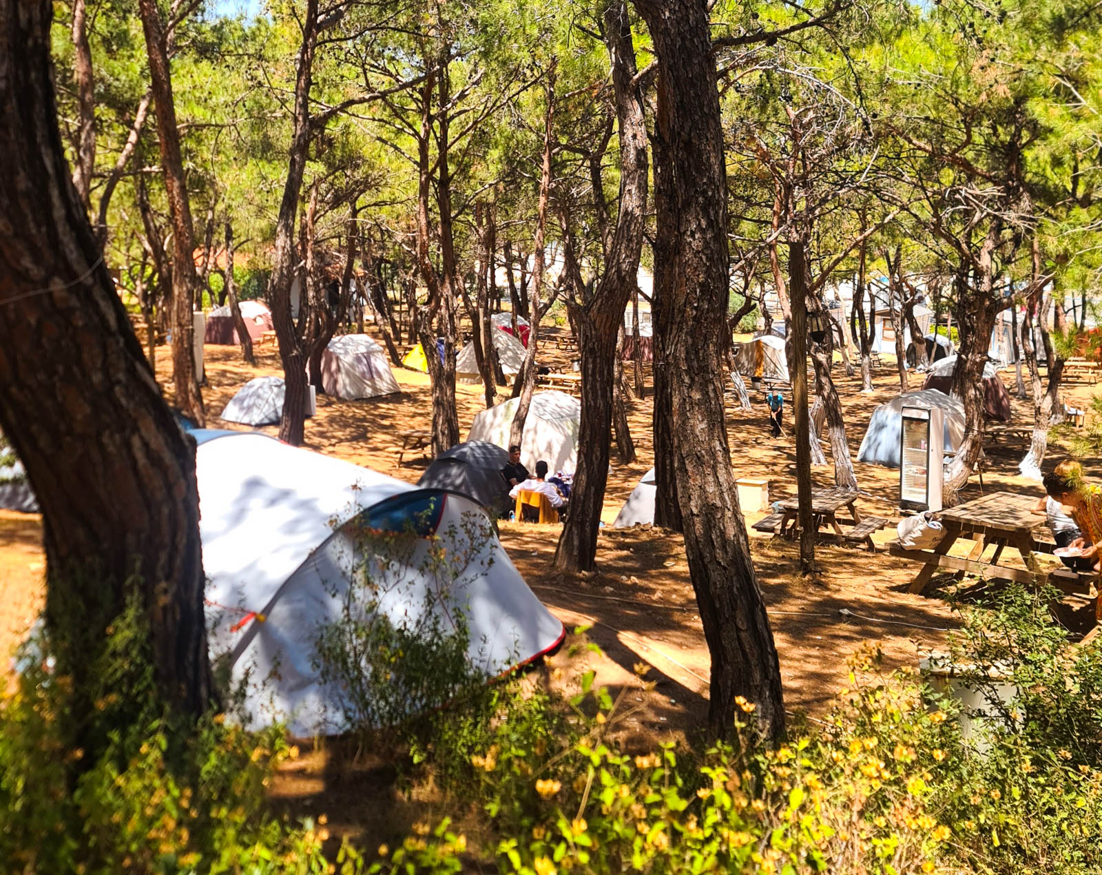 Murat Reis Çamlık Camping