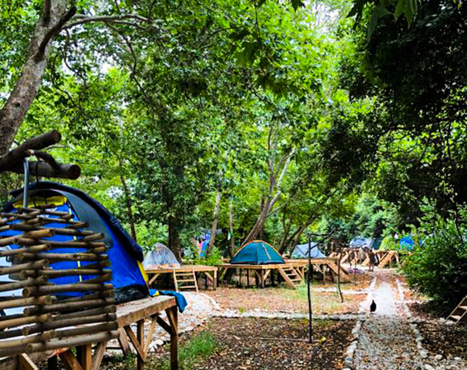 Camp Meeting Point