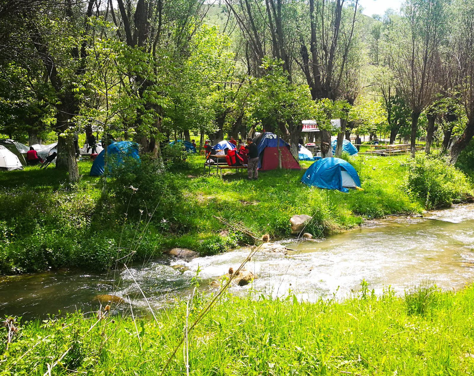 Çitköy Alakamp