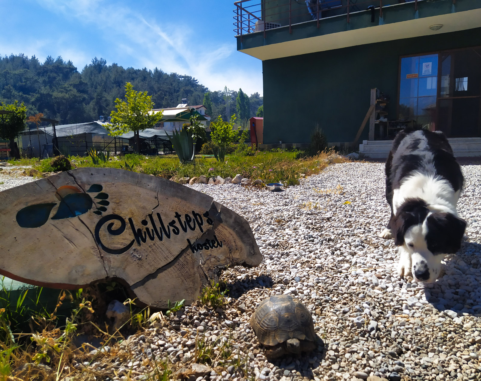 Chillsteps Hostel & Camping