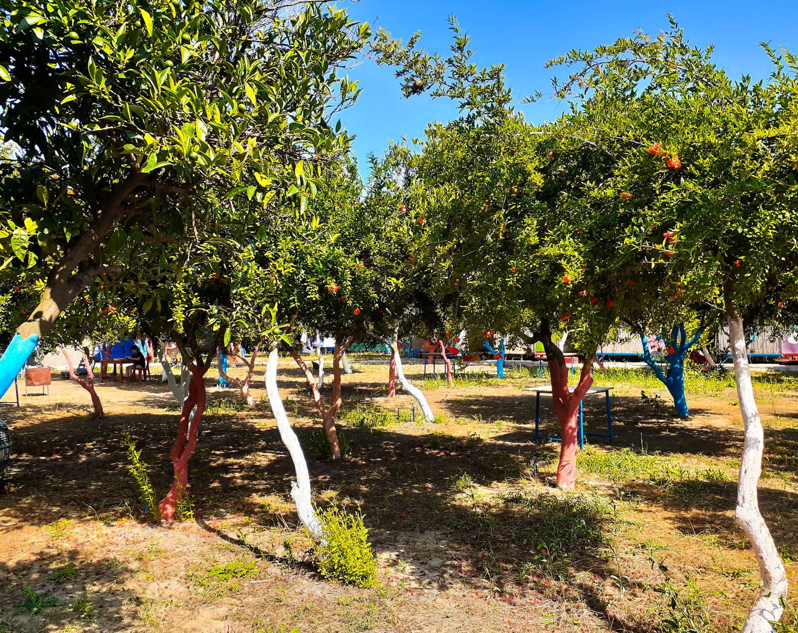 Şirinler Camping Adrasan